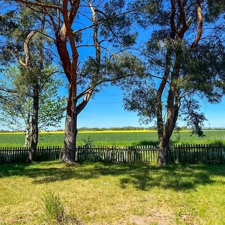 Wohlfuehl-anker דירה