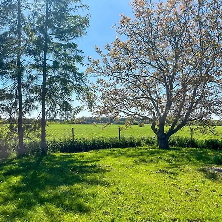 Wohlfuehl-anker דירה Trinwillershagen